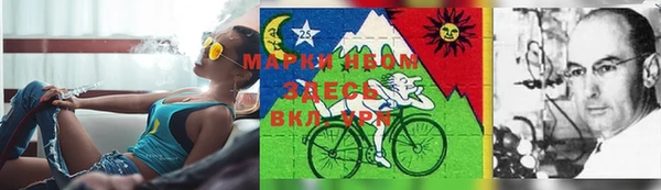 молекула духа Зеленокумск
