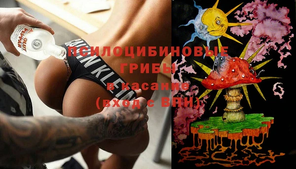 гидропоника Зеленодольск