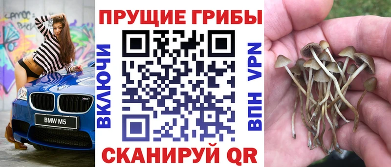 Псилоцибиновые грибы Magic Shrooms  Купить закладки  Свирск 